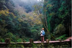 来邛崃，解锁天台山的花式玩法