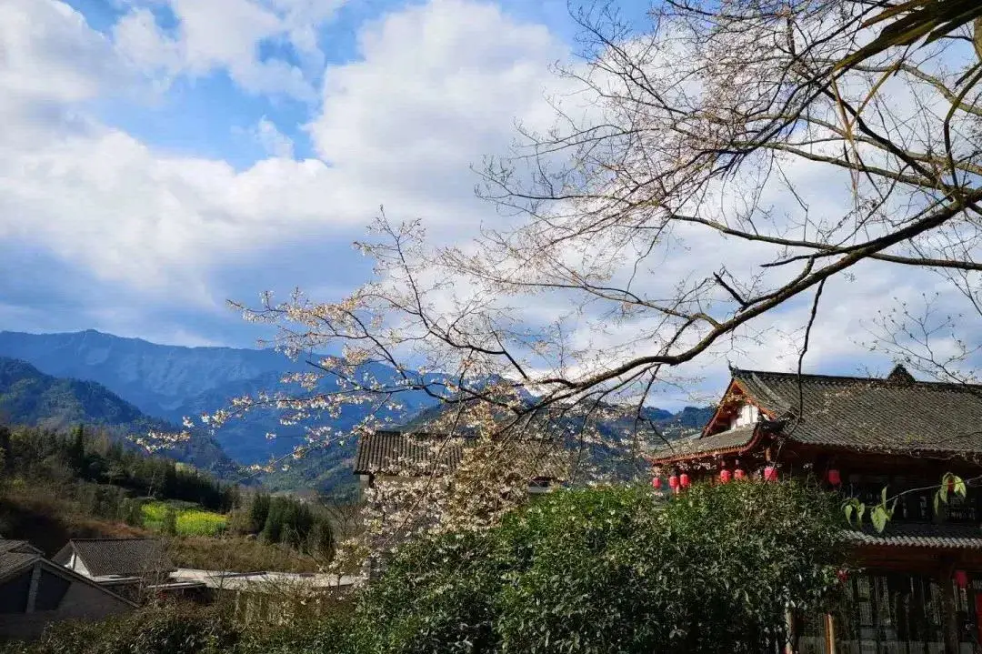 来邛崃，解锁天台山的花式玩法  第13张