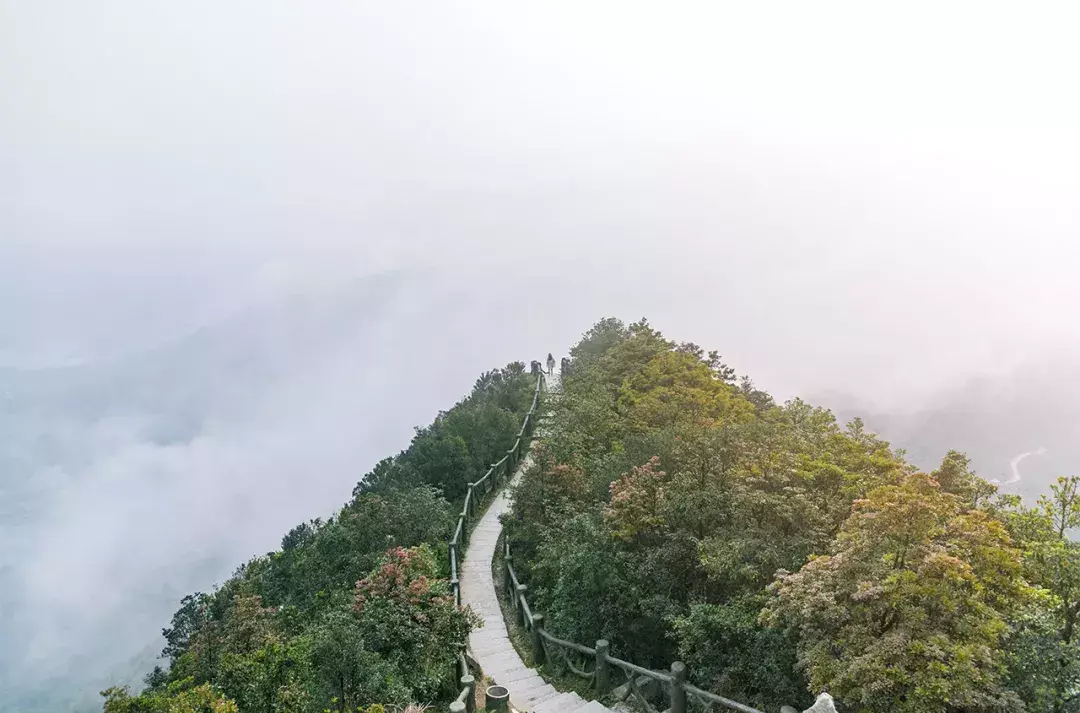 深圳10个适合一日游的景点！人少景美还免费  第17张