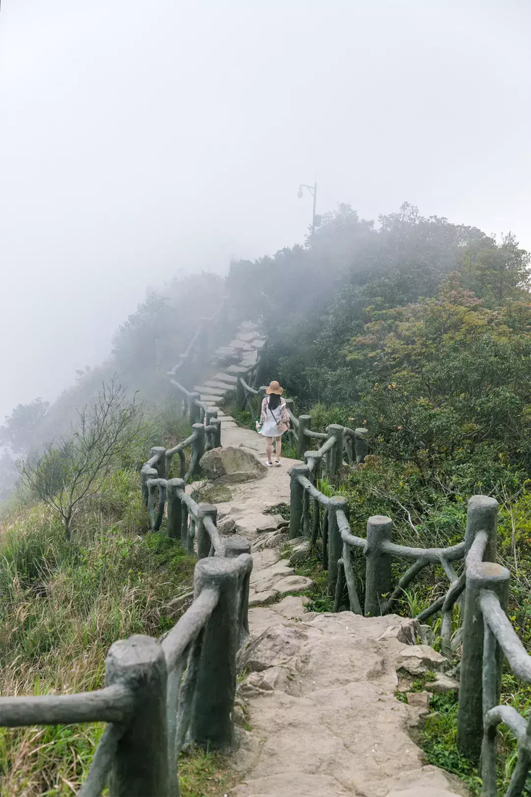 深圳10个适合一日游的景点！人少景美还免费  第18张