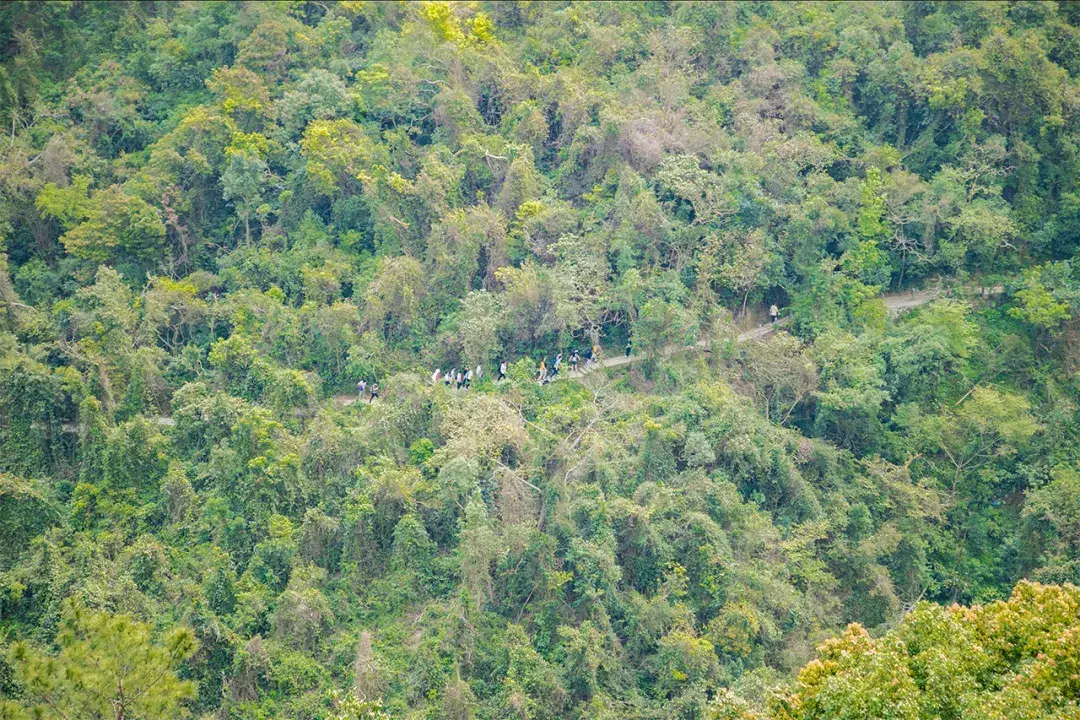 深圳10个适合一日游的景点！人少景美还免费  第20张