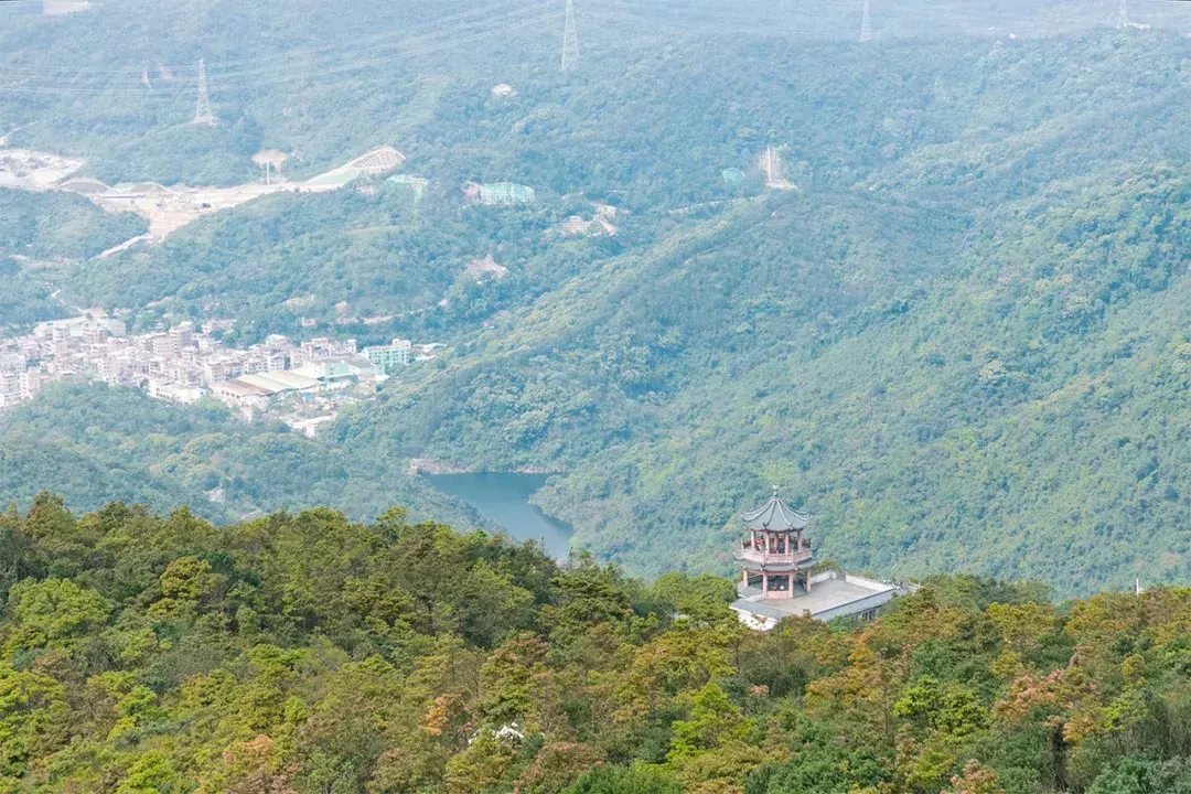 深圳10个适合一日游的景点！人少景美还免费  第22张