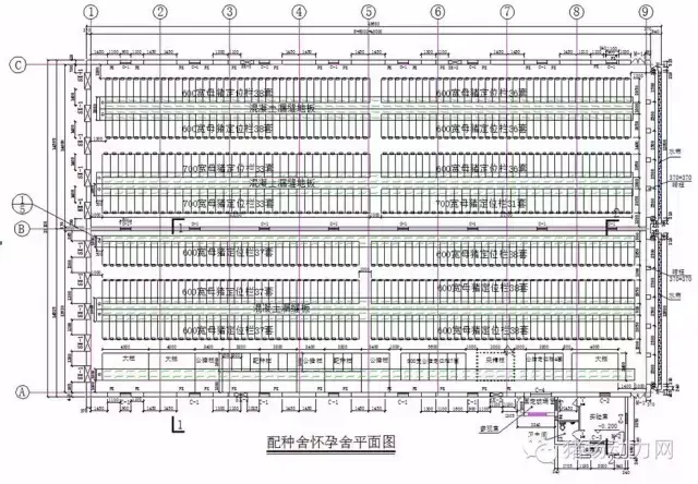 1200头母猪场规划设计方案图纸，超全超经典  第2张