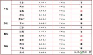 2023.5.24-明日猪价（部分区域强势反弹，新一轮上涨潮即将启动）-图2