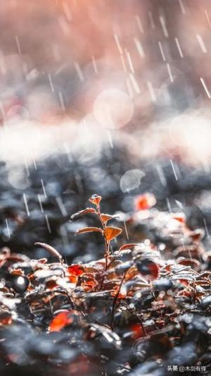 生活不是等待暴风雨过去，而是要学会在雨中跳舞-图3