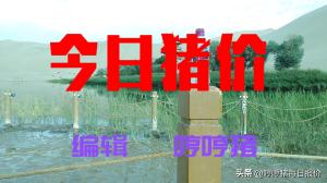 涨！猪价“直线上升”多地突破18元！进口猪肉再次涨价！今日猪价