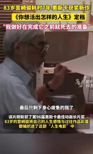 宫崎骏巅峰之作你想活出怎样的人生：探寻生命日落的无限意义  第1张