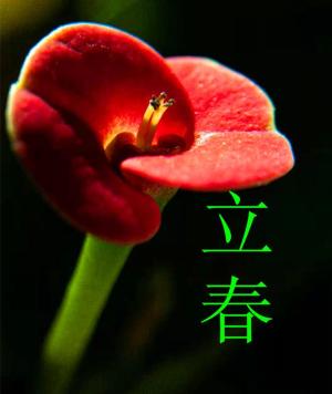 今天立春，农村俗语：“春要早打，秋要晚立”这说的是啥意思呢?  第1张