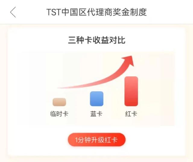 笑麻了！张庭带着“TST庭秘密”卷土重来，开店65天销量仅3件！  第3张