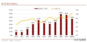 中信建投：奋斗型券商业务持续精进，充分受益全面注册制改革-图4