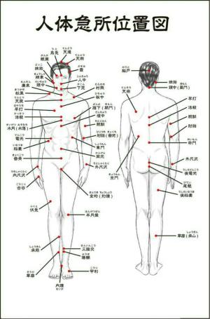 传统武术里面真的有攻击对手要害的绝招吗？他们是怎么失传的？