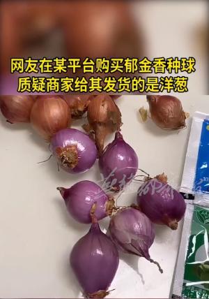 在网上买种子的人，永远不会知道自己能种出什么