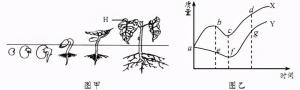 七年级生物上册种子的萌发需要掌握的知识点配近几年的中考题-图7