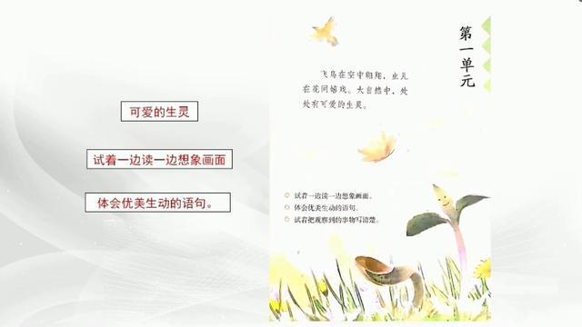 小学三年语文古诗三首燕子荷花昆虫备忘录和习作