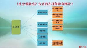 为什么有人愿意挂靠社保？有哪些优点？有哪些负担？该怎么做？  第3张