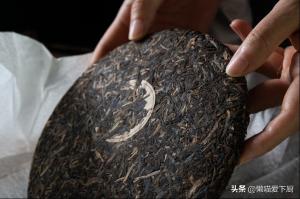 同是普洱，选“生茶”还是“熟茶”？有啥区别？才知道价值差很多  第2张