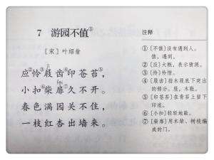 六年语文游园不值，资深教师详细讲解，手写书中重点-图2