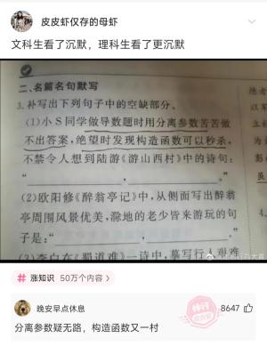 那年夏天的搞笑回复：文科生看了沉默，理科生看了更沉默 -图6