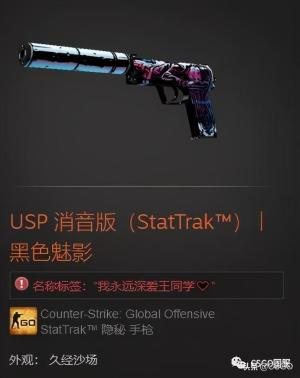 「CSGO皮肤控」第63期：CSGO里那些内涵皮肤名  第11张