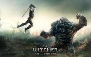 3A大作巫师2国王刺客剧情关系梳理 (2)-The Witcher  第13张