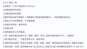 什么情况属于轻伤二级？评定标准科普来了