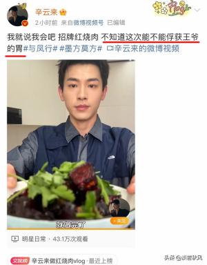 辛云来做红烧肉：王爷晚上来墨方这吃肉，别去行止那喝“茶”了-图2