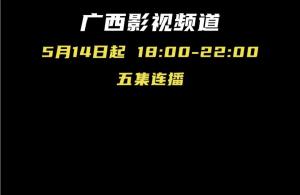 功夫谍战大剧浴血英雄今日开播，广西影视频道每天18:00火爆霸屏！-图2