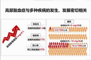 海米嘌呤高吗？尿酸高人群或者痛风患者可以吃吗？医生详细告诉您-图13