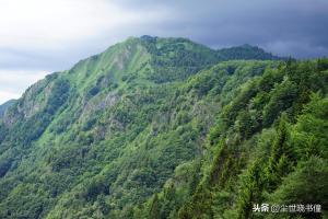 白居易很有意境的一首诗，只是那么淡淡着笔，每一句都如诗如画