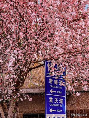 天津十大必玩景点，你去过哪几个？-图5