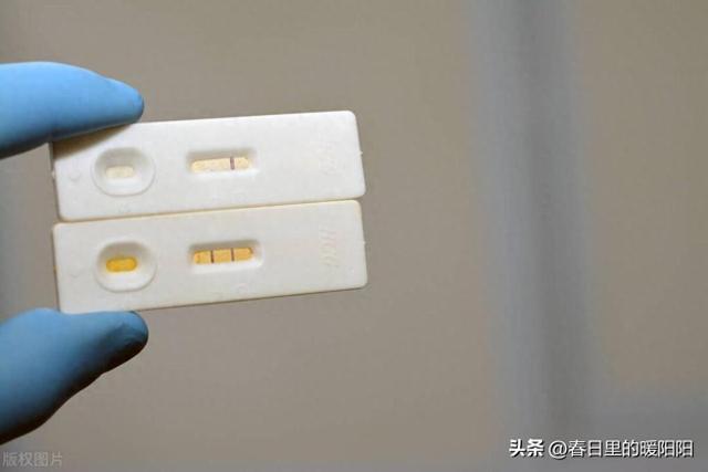 女子入职体检发现怀孕不被录用，法院判公司赔3万元，赚钱捷径  第1张