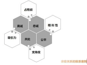 爱情是什么？你为什么就爱上某个人呢？告诉你科学的答案  第5张