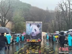 粉丝冒雨送别“福宝”哭成一片，韩饲养员“宋爷爷”贴车泪奔