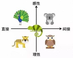 PDP性格测试：你是老虎、孔雀、考拉，还是猫头鹰、变色龙？  第1张