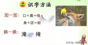 知识点+练习题部编版四年级语文上册 16 麻雀-图6