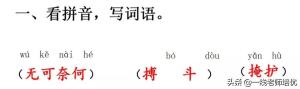 知识点+练习题部编版四年级语文上册 16 麻雀-图16