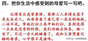 知识点+练习题部编版四年级语文上册 16 麻雀-图22