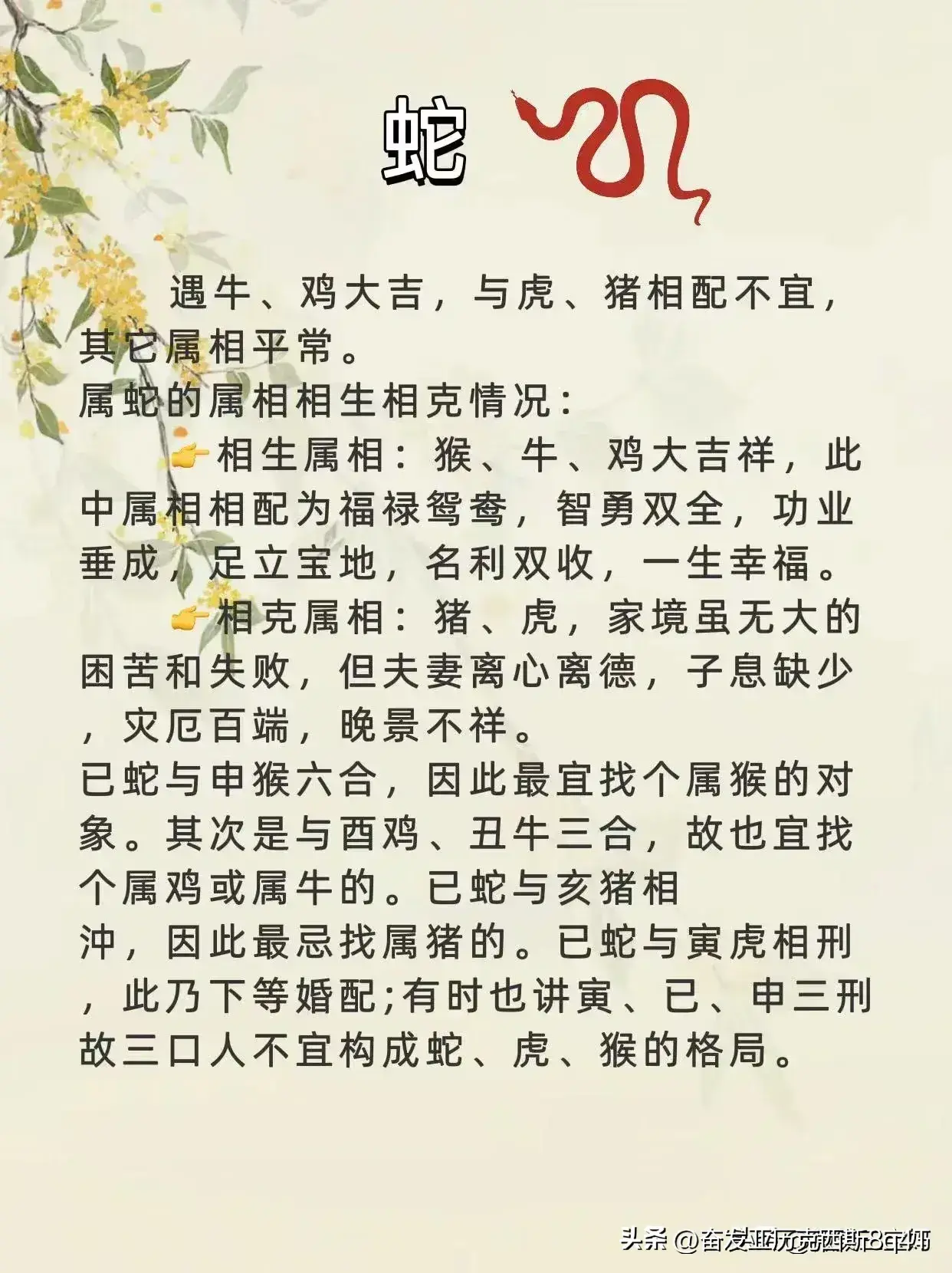 十二生肖男女属相最佳婚配表，收藏起来，看看你选对了没有  第7张