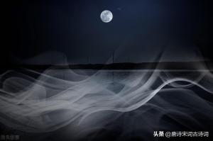 刘方平月夜 / 夜月赏析  第2张