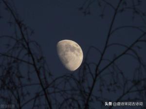 刘方平月夜 / 夜月赏析  第3张