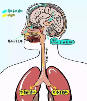 49岁李嘉欣才是真的&amp;amp;quot;睡美人&amp;amp;quot;！晚上10点就睡觉，睡眠质量好到爆  第40张