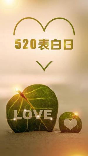 深情520 情深已迟暮