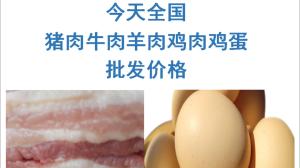 2022年12月08日全国猪肉牛肉羊肉鸡肉鸡蛋批发价格日报