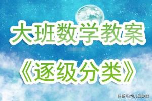 幼儿园大班数学优质课教案逐级分类含反思