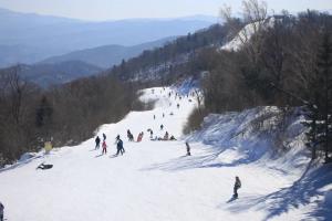 定了！11月9日亚布力阳光滑雪场要开板啦！-图5