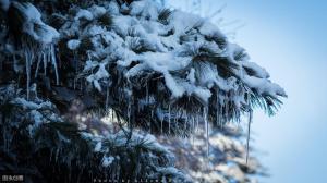 冰天雪地、天寒地冻、滴水成冰……那些跟冬天有关的成语都是怎么来的？-图1