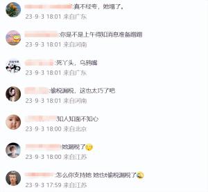 蒋依依偷漏税被罚238万！于正刚夸完她人品好，微博火速删除-图14