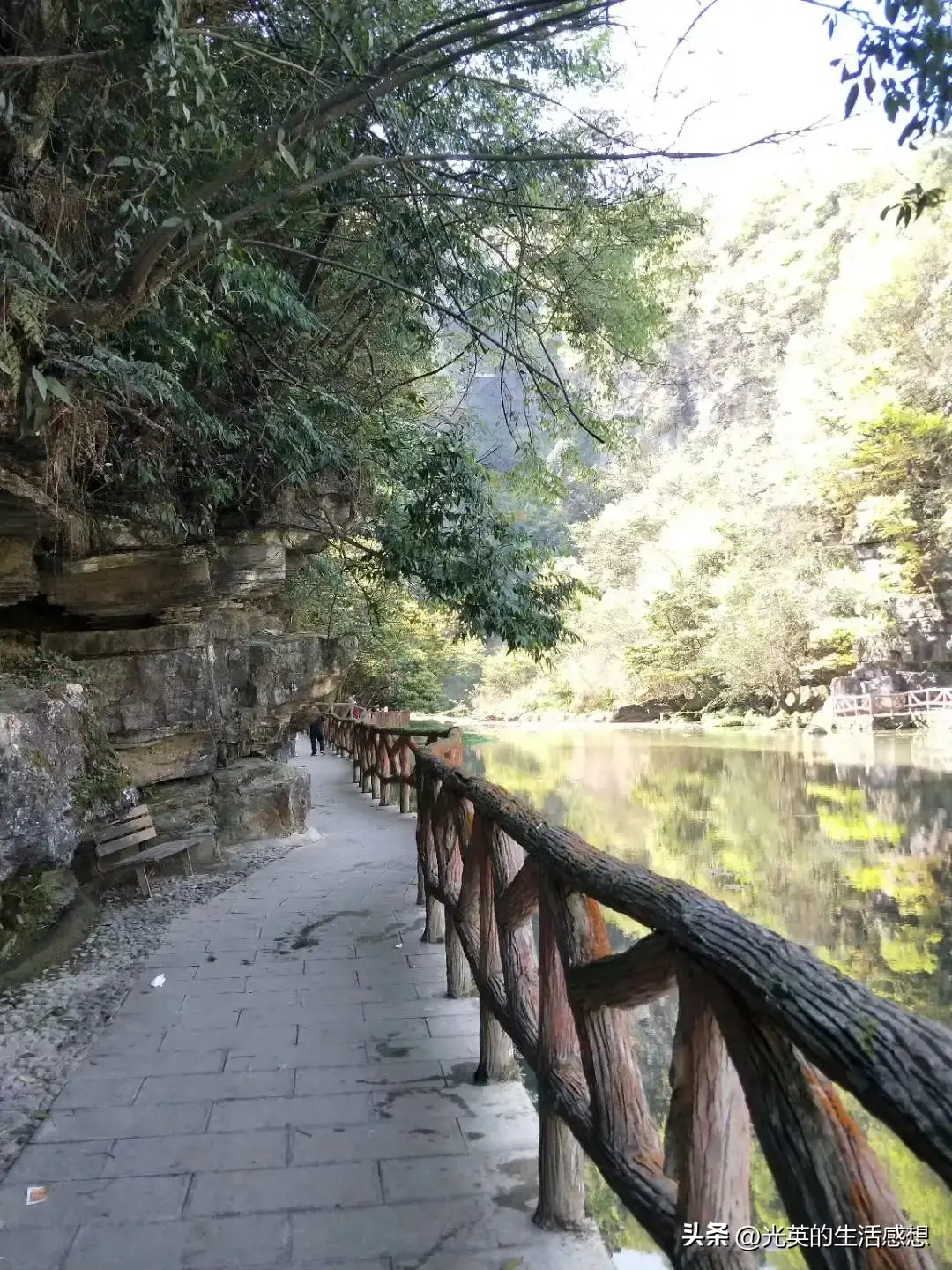 我去了毕节大方县，游了三个很美的免费景区，特别是嘎木杜鹃花  第3张