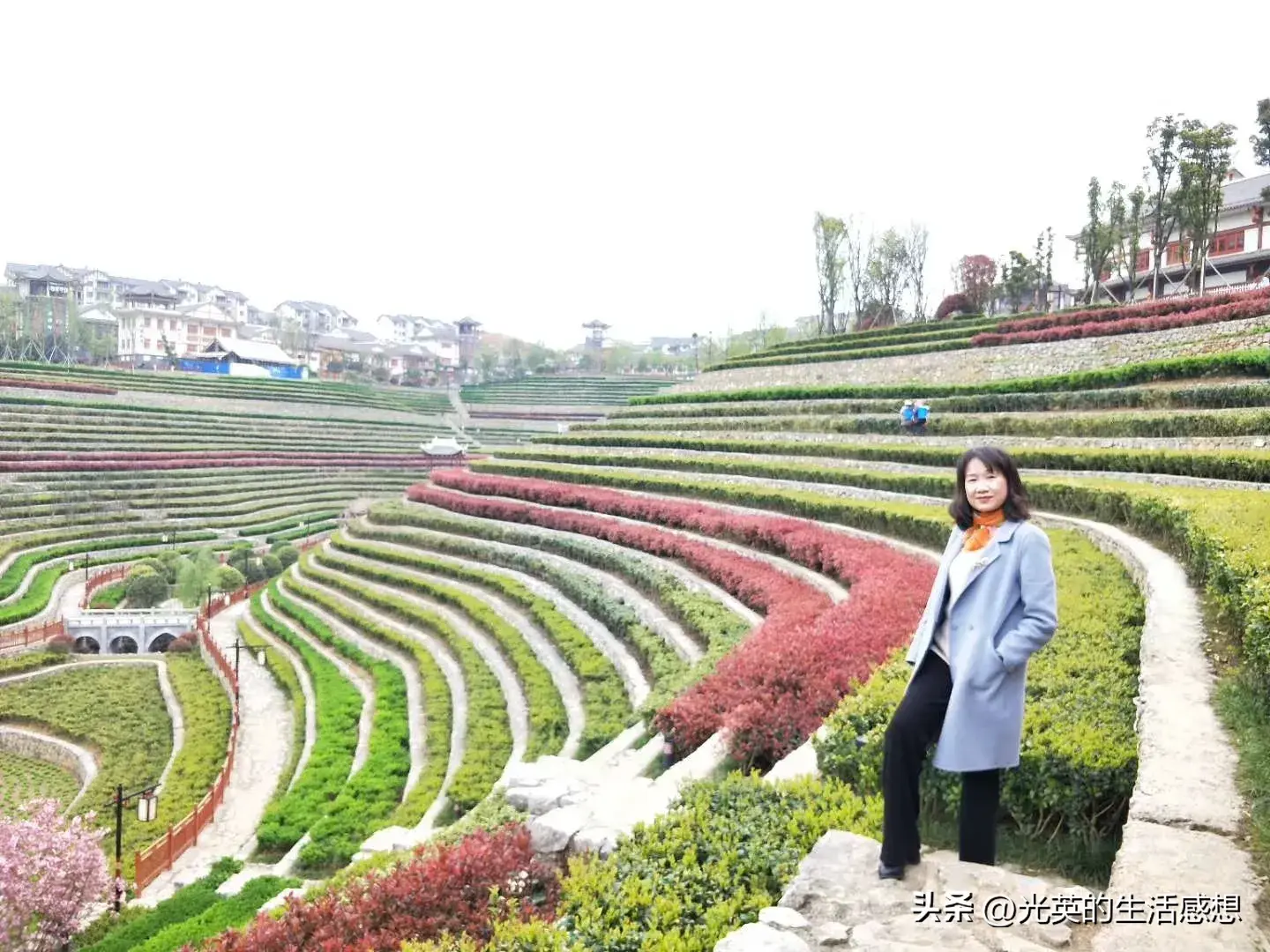 我去了毕节大方县，游了三个很美的免费景区，特别是嘎木杜鹃花