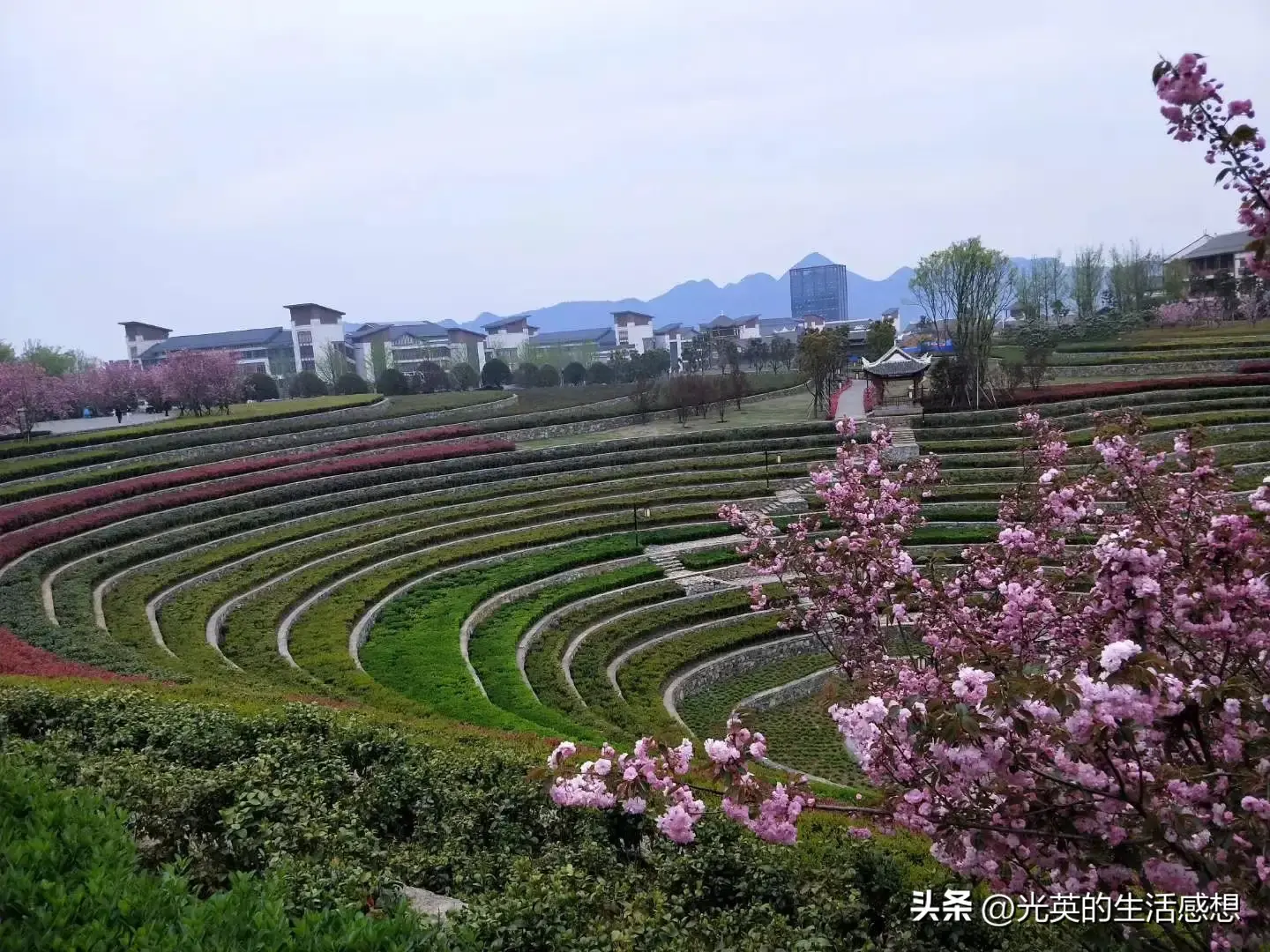 我去了毕节大方县，游了三个很美的免费景区，特别是嘎木杜鹃花  第6张